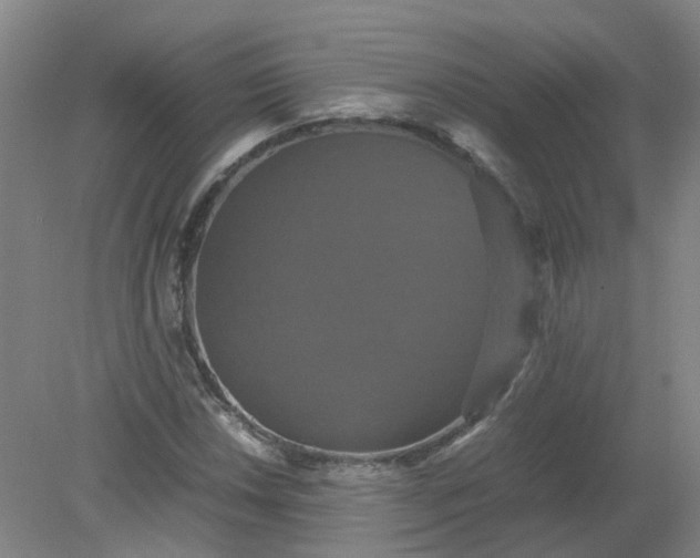 X0000079321018200612011836