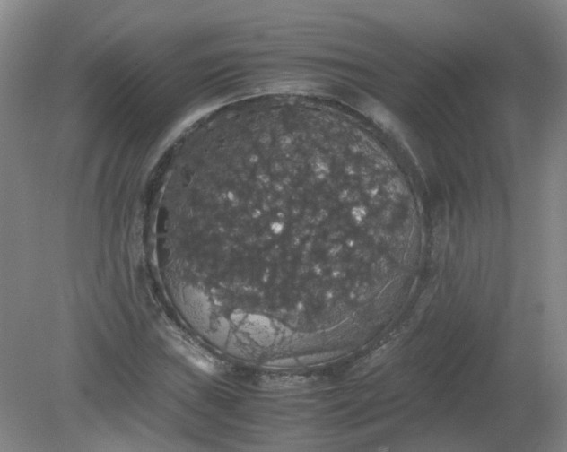 X0000079321019200612011836