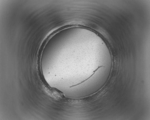 X0000079321020200612011836