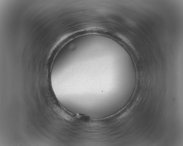 X0000079321021200612011836