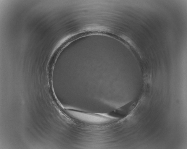 X0000079321022200612011837