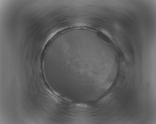 X0000079321023200612011837