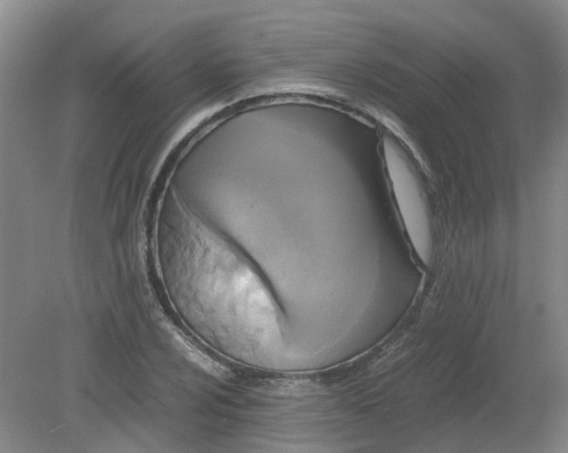 X0000079321024200612011837