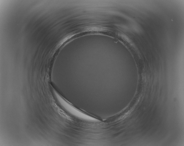 X0000079321025200612011837