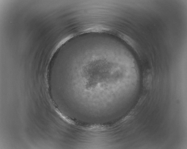 X0000079321026200612011837