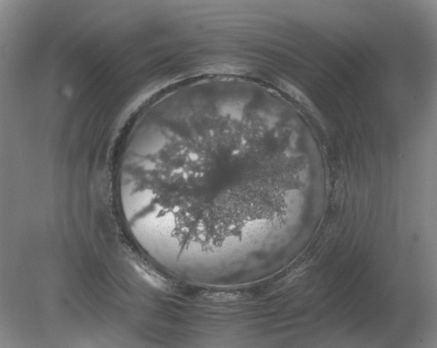 X0000079321027200612011837