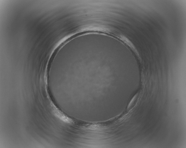 X0000079321028200612011837