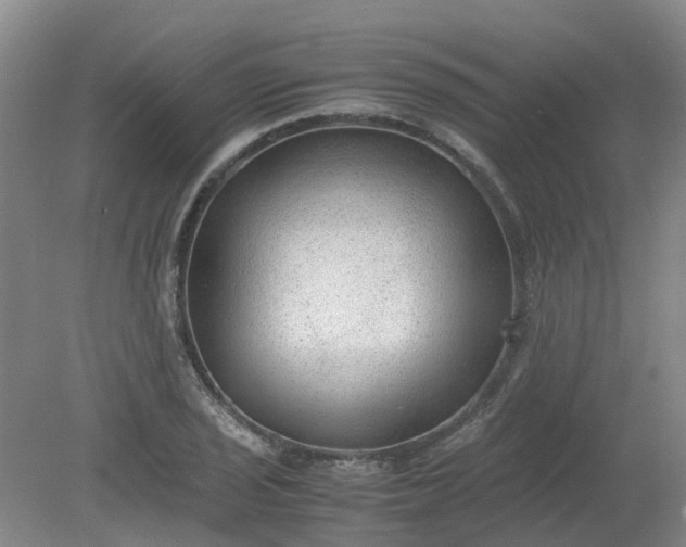 X0000079321029200612011837