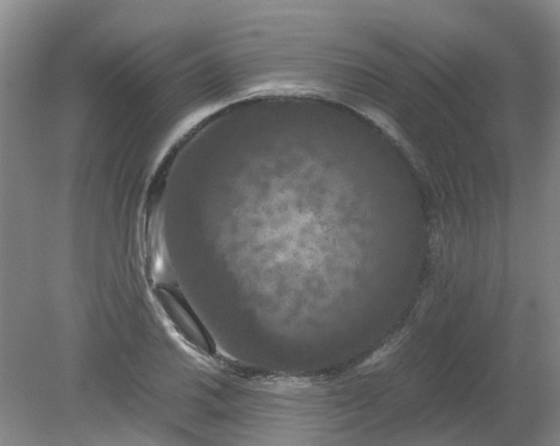 X0000079321030200612011837