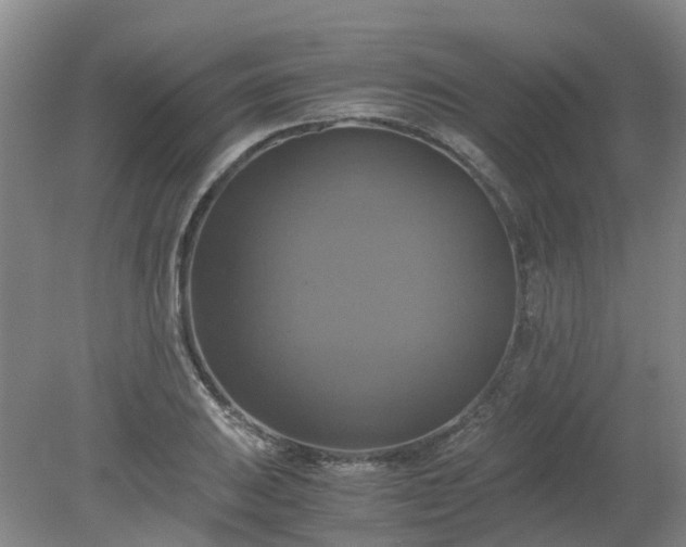 X0000079321031200612011837