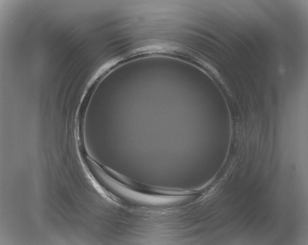 X0000079321034200612011837