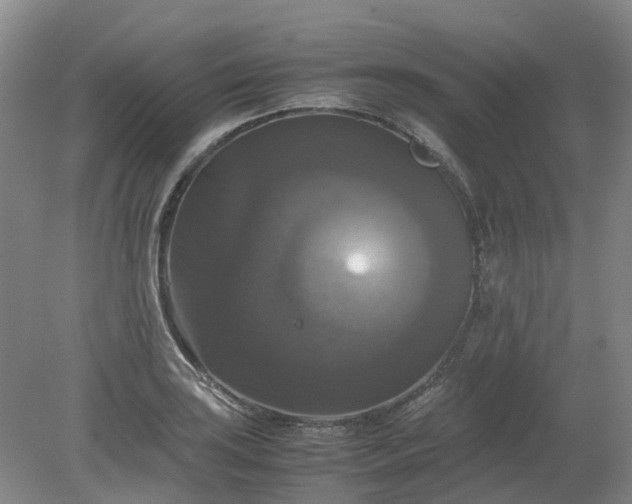 X0000079321035200612011837