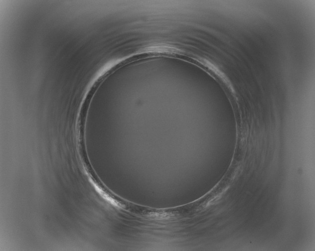 X0000079321037200612011837