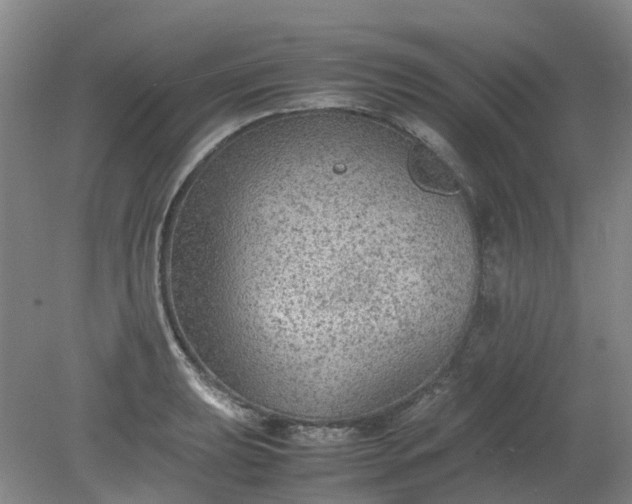 X0000079321039200612011837