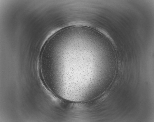 X0000079321040200612011837