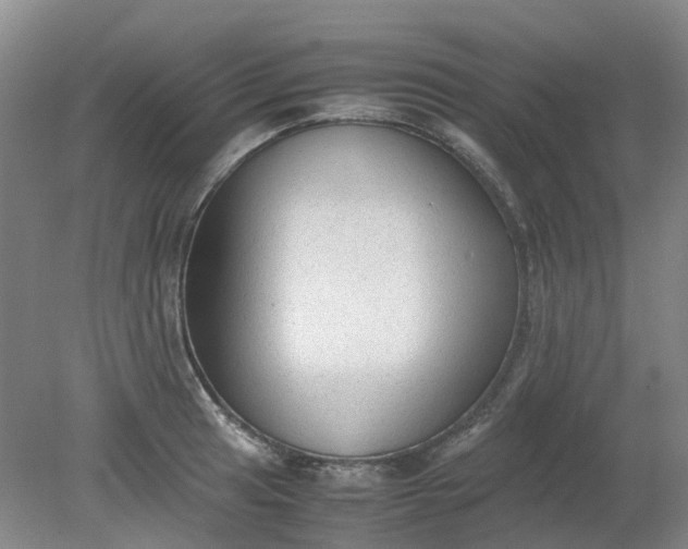 X0000079321041200612011837