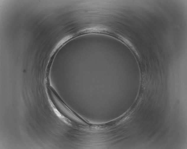 X0000079321042200612011837