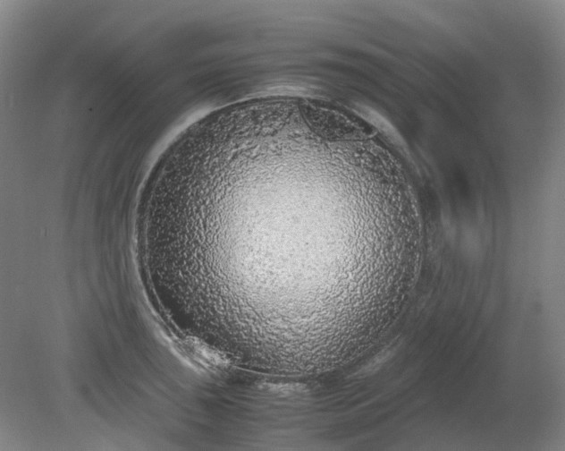 X0000079321043200612011837