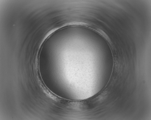 X0000079321044200612011837