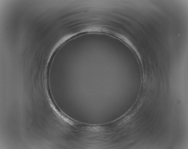 X0000079321045200612011837