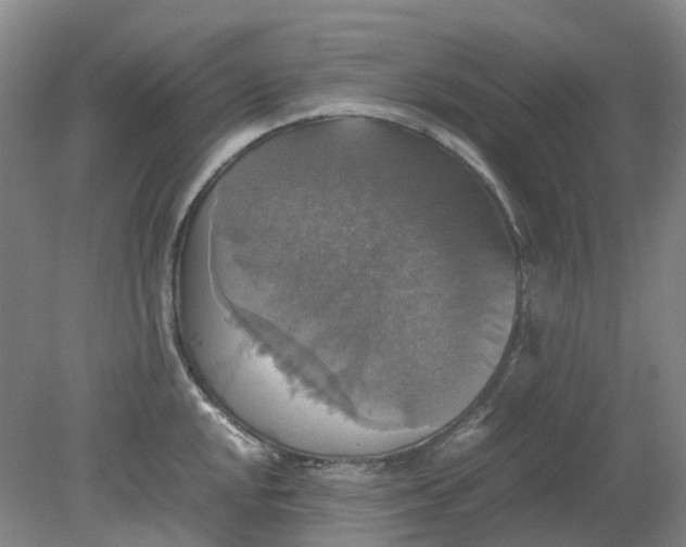 X0000079321048200612011837