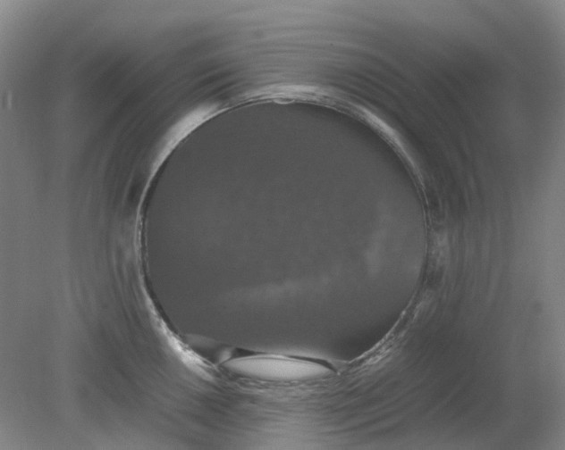 X0000079321050200612011837