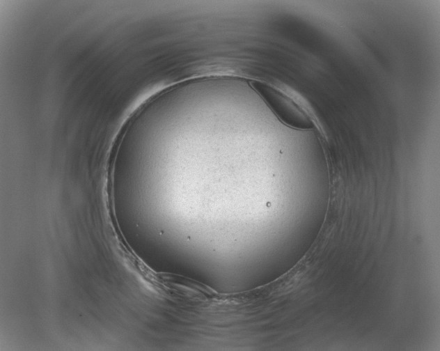 X0000079321051200612011837