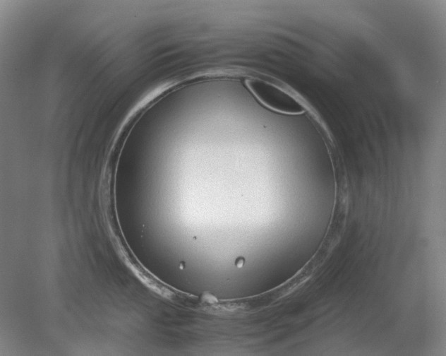 X0000079321053200612011837