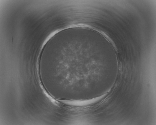 X0000079321054200612011837