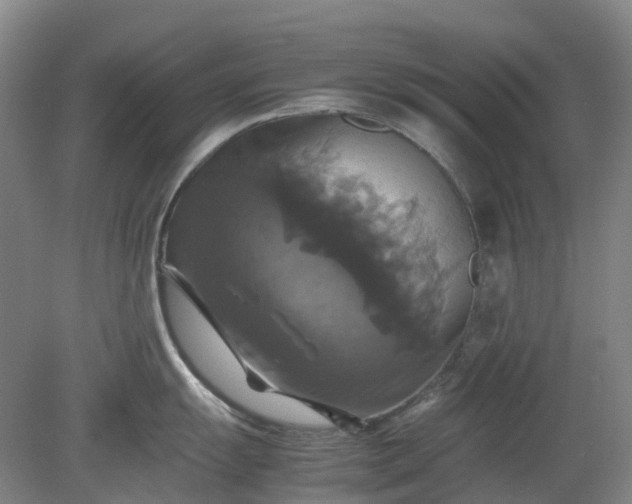 X0000079321055200612011837