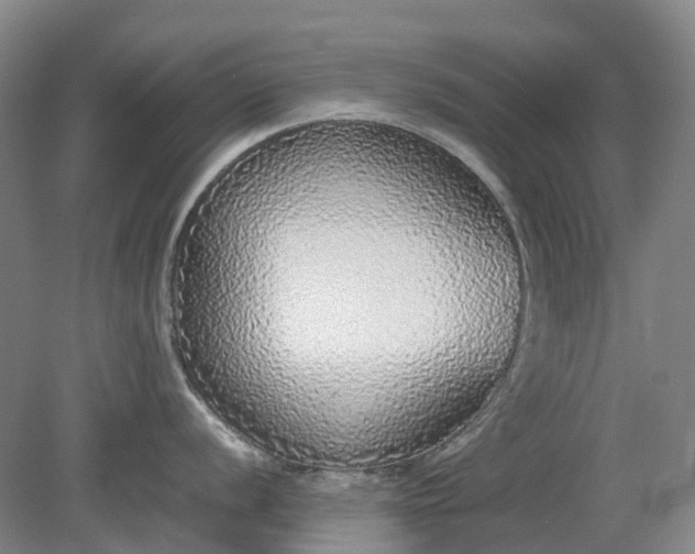 X0000079321056200612011837