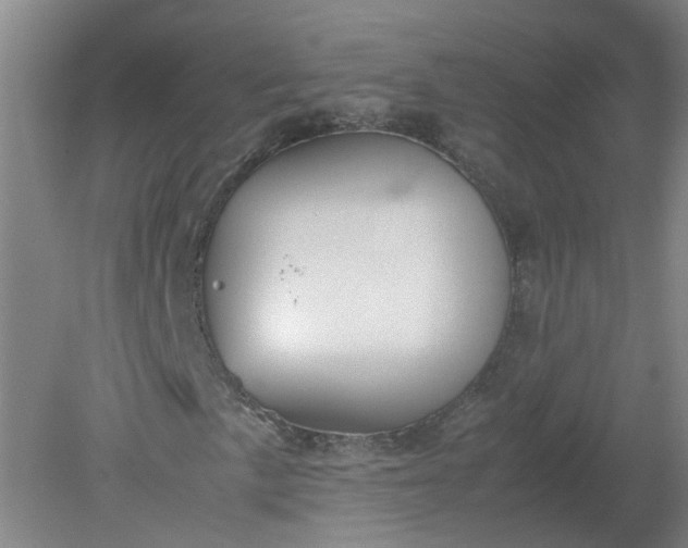 X0000079321057200612011836