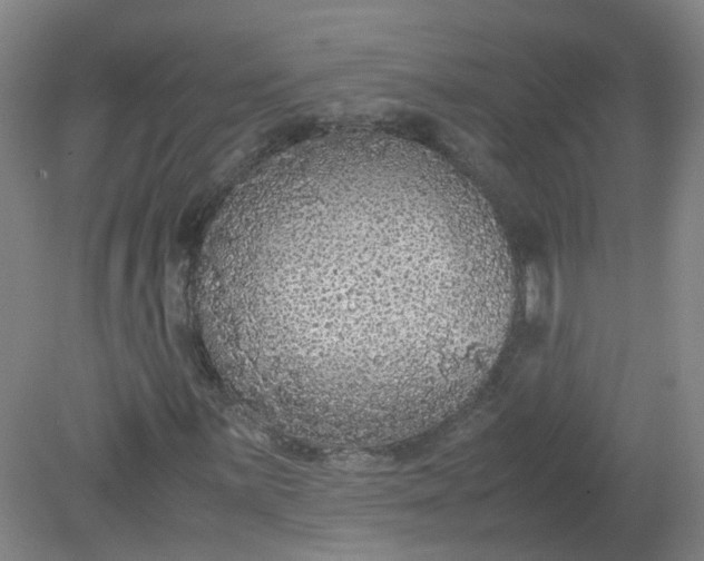 X0000079321059200612011836