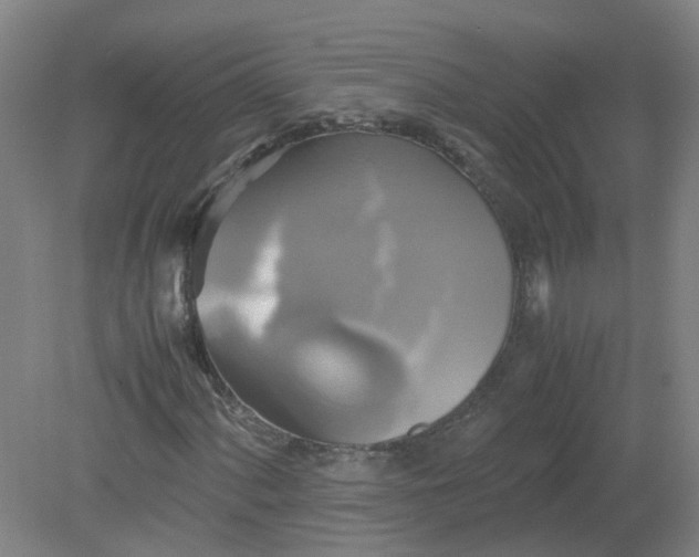 X0000079321060200612011836