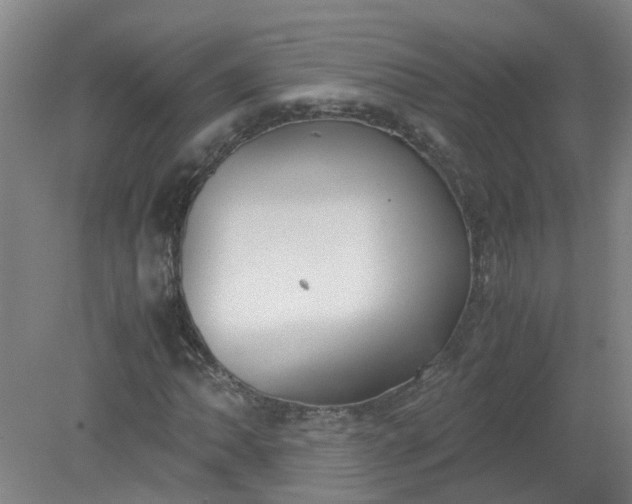 X0000079321062200612011836