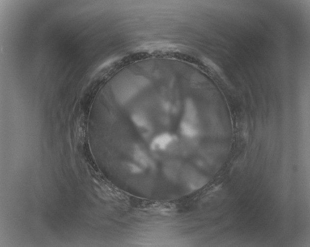 X0000079321063200612011836