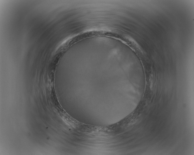 X0000079321064200612011836