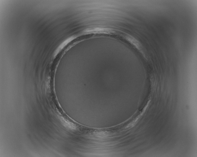 X0000079321066200612011836