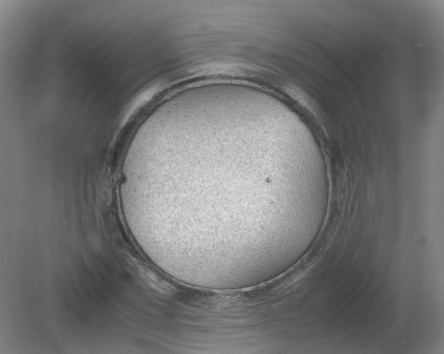 X0000079321067200612011836