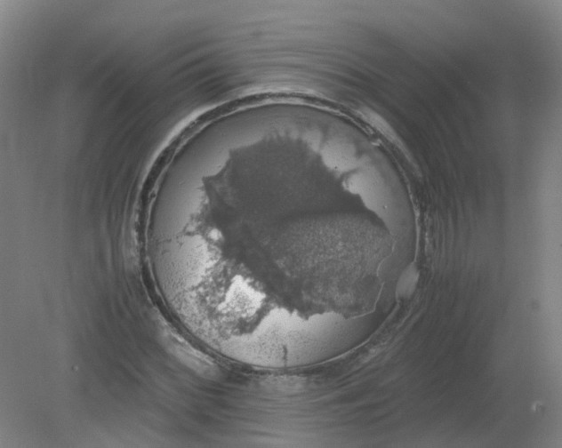 X0000079321068200612011836