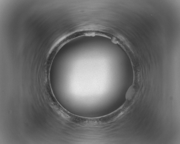 X0000079321069200612011836