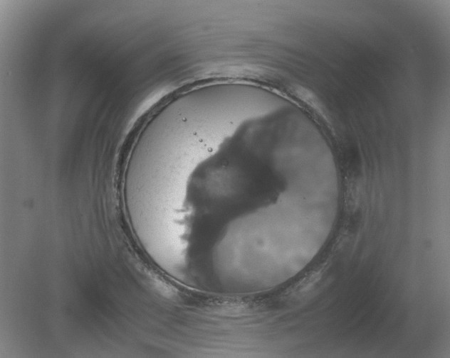 X0000079321071200612011836