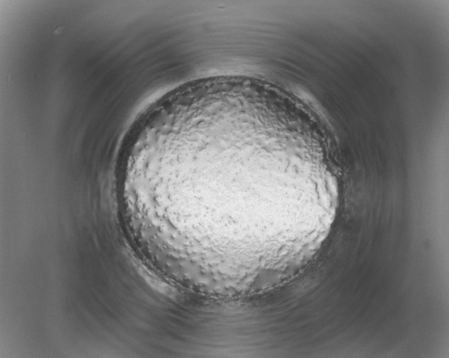 X0000079321072200612011836