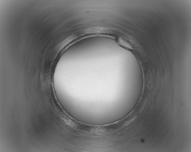 X0000079321073200612011836