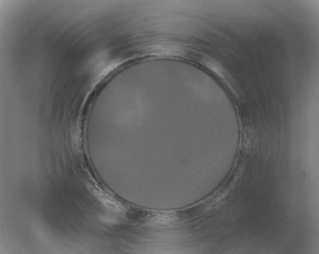 X0000079321074200612011836