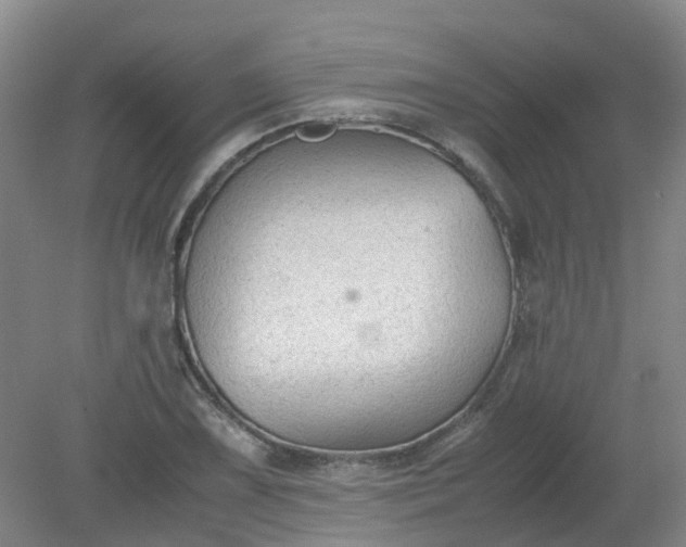 X0000079321075200612011836