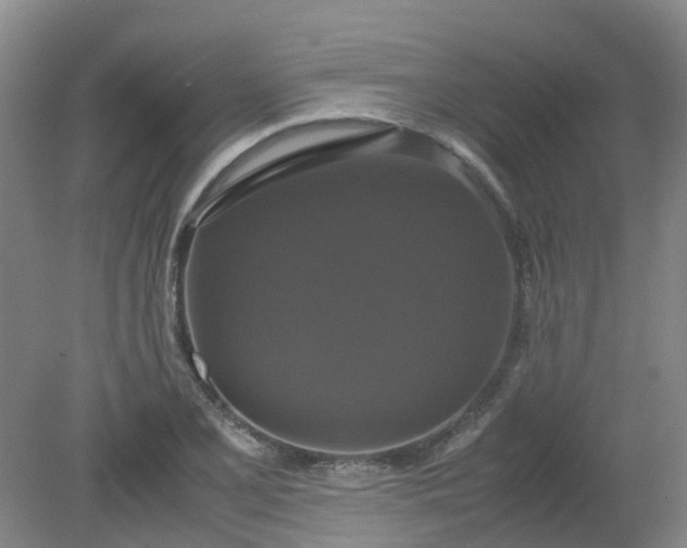 X0000079321077200612011836