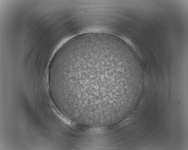 X0000079321078200612011836