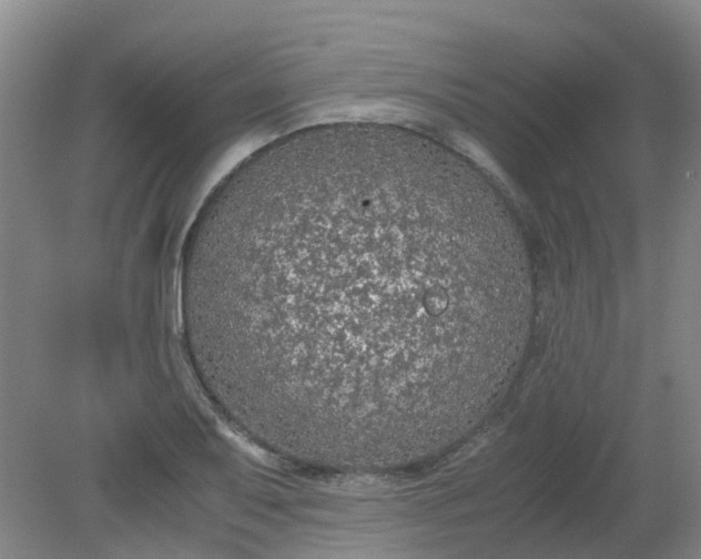 X0000079321079200612011836