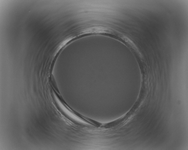 X0000079321081200612011836